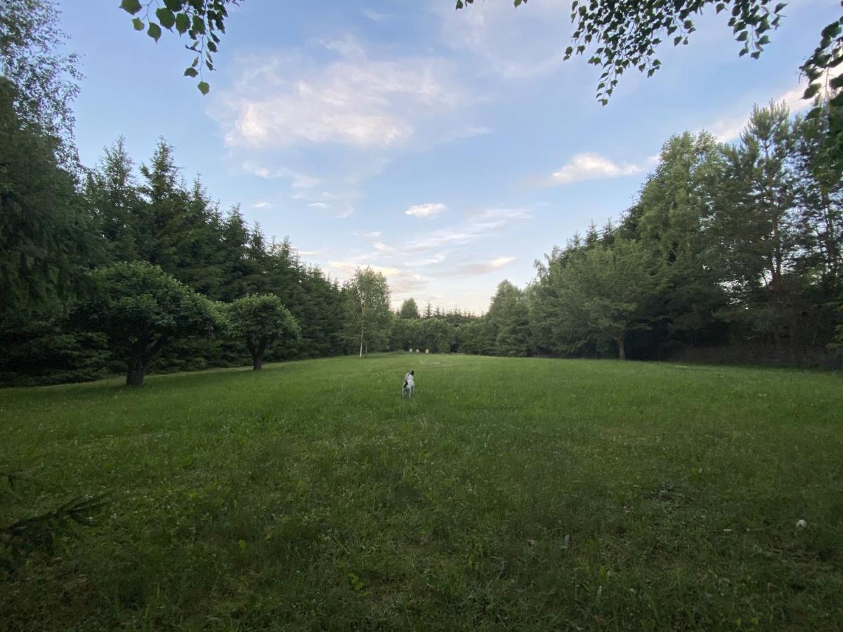 Villa Sielanka Kretowiny Esterno foto